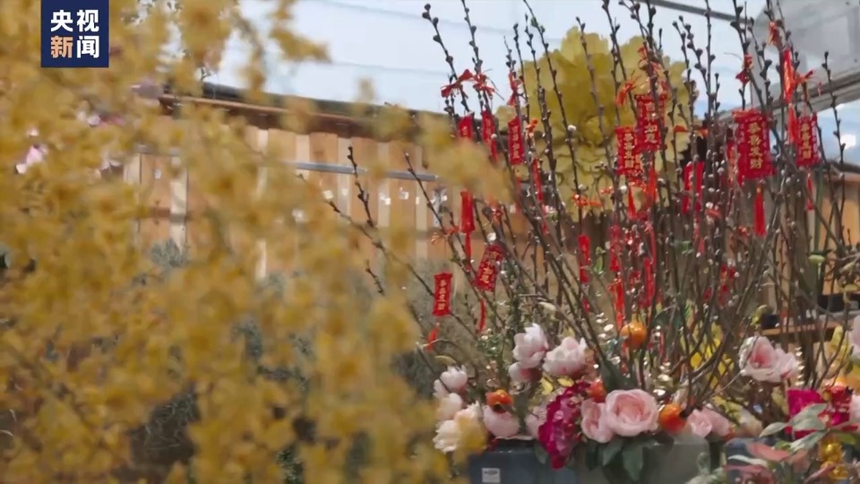 寻味中国年丨传承与融合并存 马来西亚的中国年