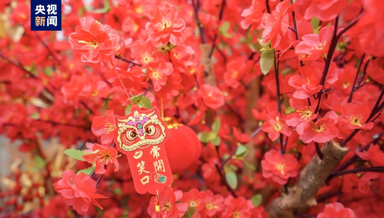 写意春天里 湾区花正开