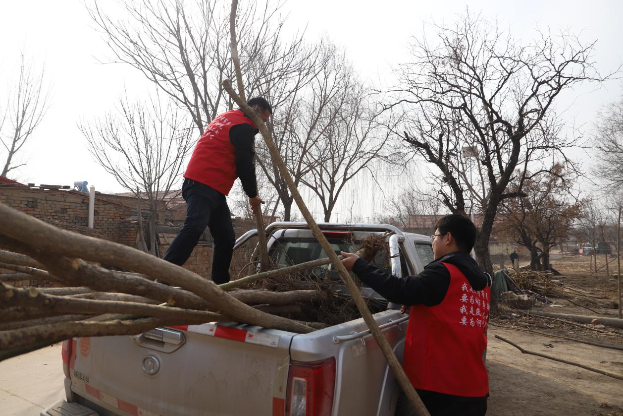河北青县：义务植树添新绿 共建美丽幸福城_fororder_图片 1