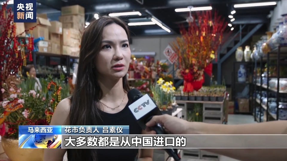 寻味中国年丨传承与融合并存 马来西亚的中国年