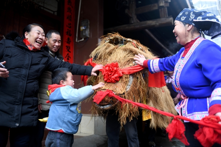 广西龙胜：春牛闹春祈丰收_fororder_2月4日，在广西桂林市龙胜各族自治县平等镇广南村，侗族民众在参加春牛巡游祈福活动。 (4)_副本