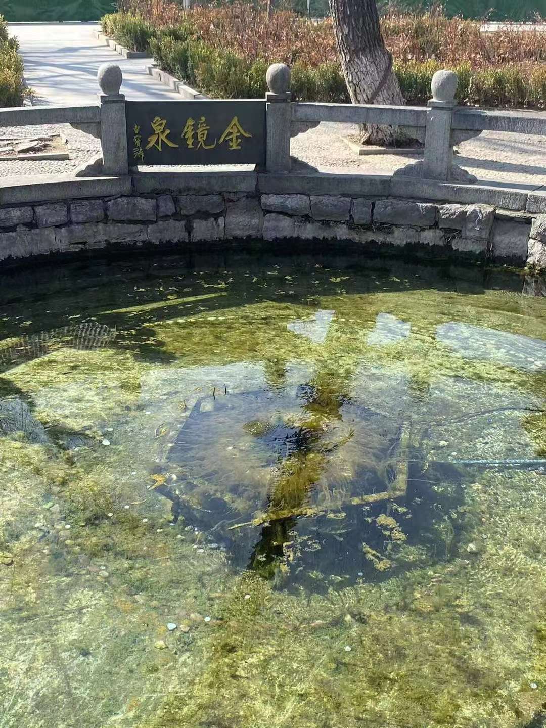 【Hi，Shandong】外媒記者鏡頭裏的明水古城_fororder_微信圖片_20240312174546