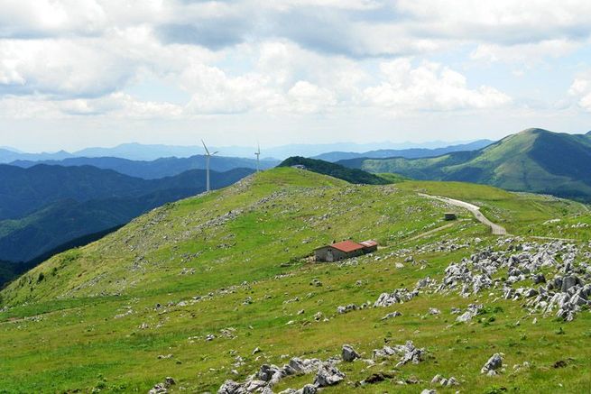 图片默认标题_fororder_42