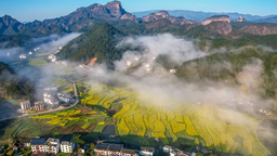 湖南崀山：云雾八角寨 醉美菜花黄