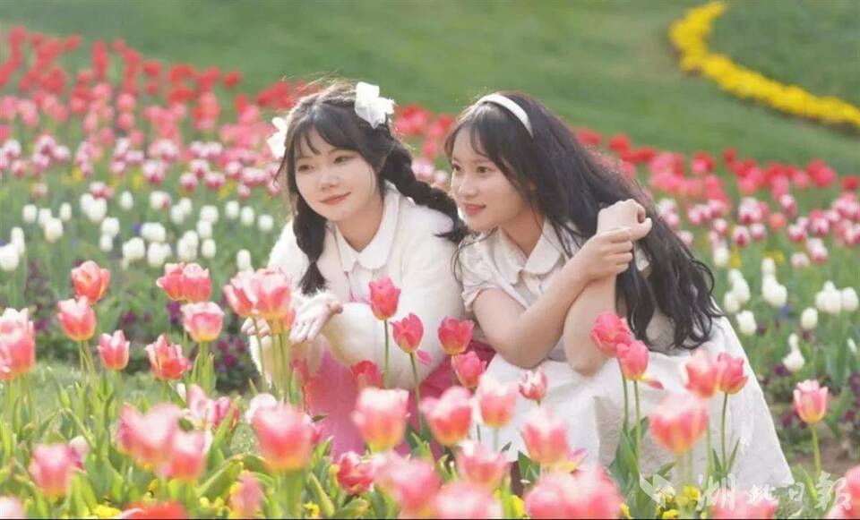 湖北省多景區推出賞花特色活動和惠民舉措