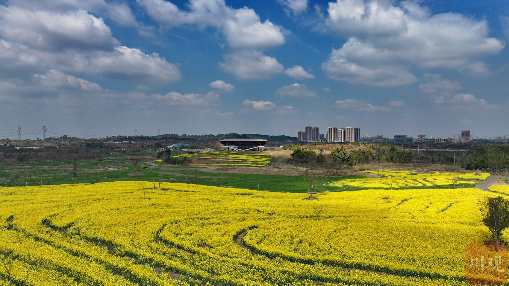 转载 成都 天府新区新地标大雁展翅春色美