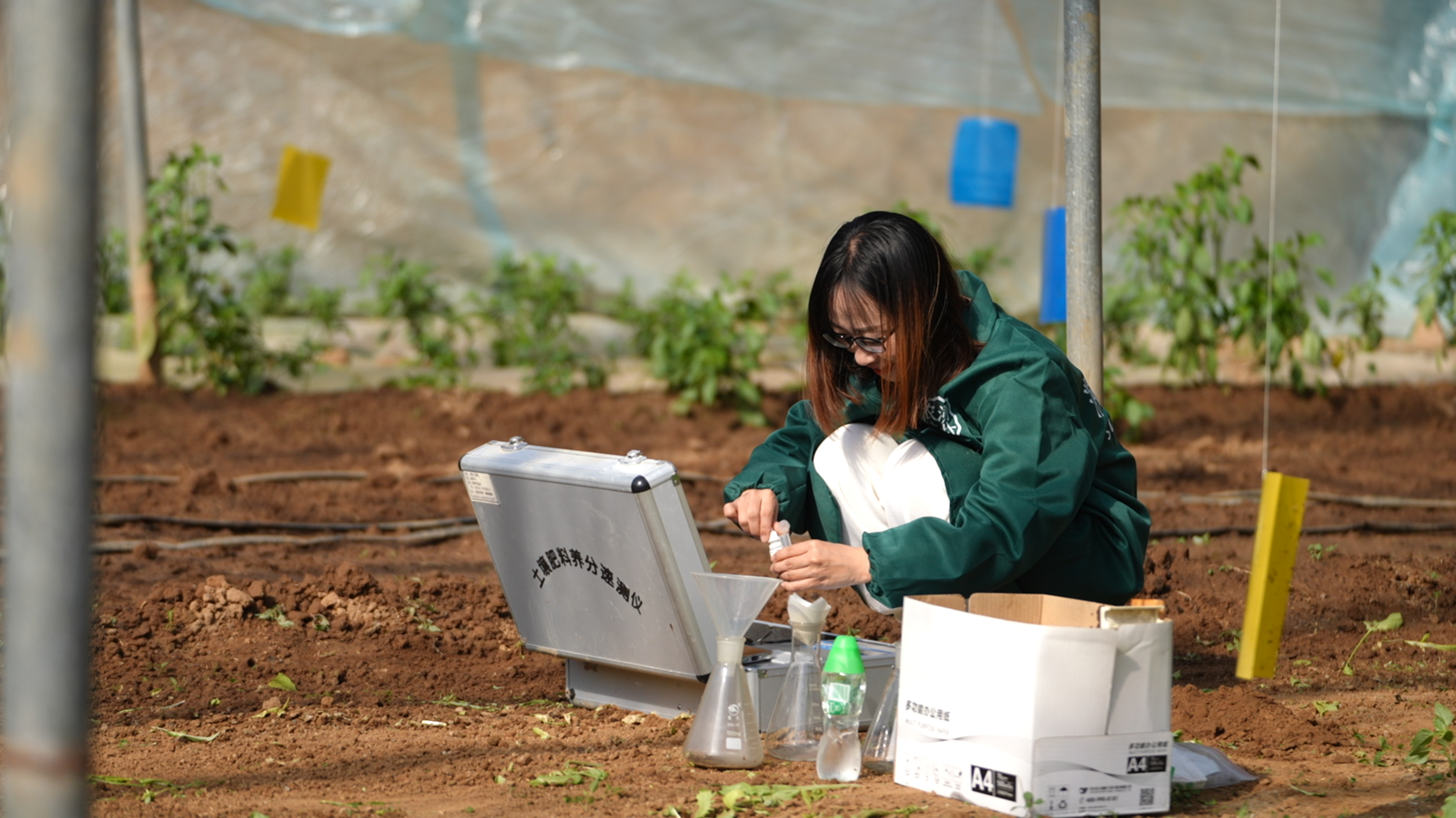 河北定兴：24小时鲜蔬端上北京餐桌_fororder_002