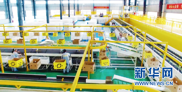 城市遠洋【區縣聯動】【潼南】重慶潼南國際檸檬節開幕 力爭形成百億級産業鏈