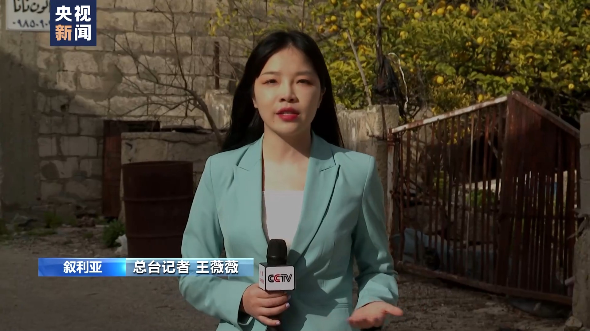 叙利亚危机13周年丨农业受重创 橘园萧条农田荒废