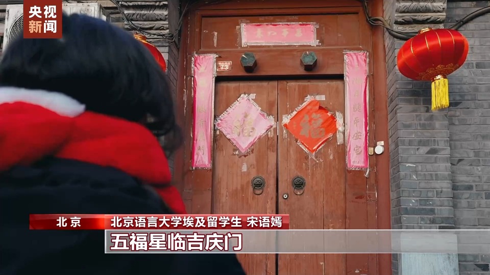 爱上中国风丨从家乡唱到春晚的埃及女孩