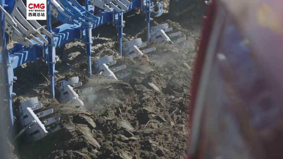 记者走进西藏粮仓拉孜县 青稞产业数字化首次赋能春耕