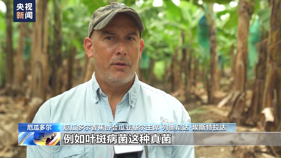 总台记者探访丨厄瓜多尔暴雨成灾 居民生活和农作物生产受影响