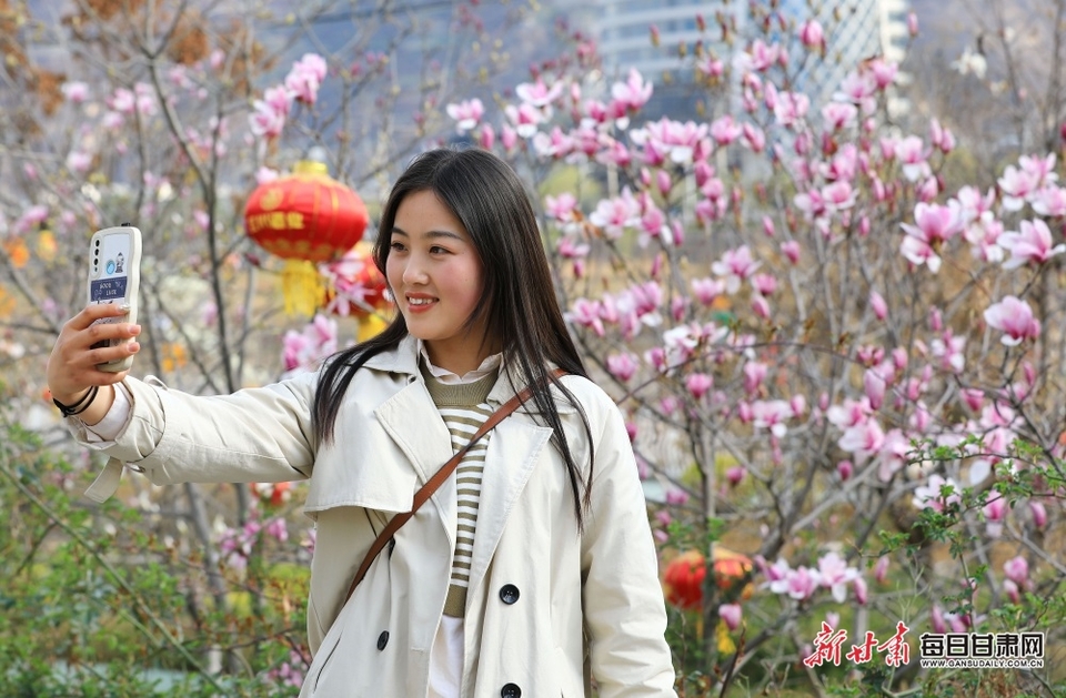 陇南武都东江公园玉兰盛放花影婆娑