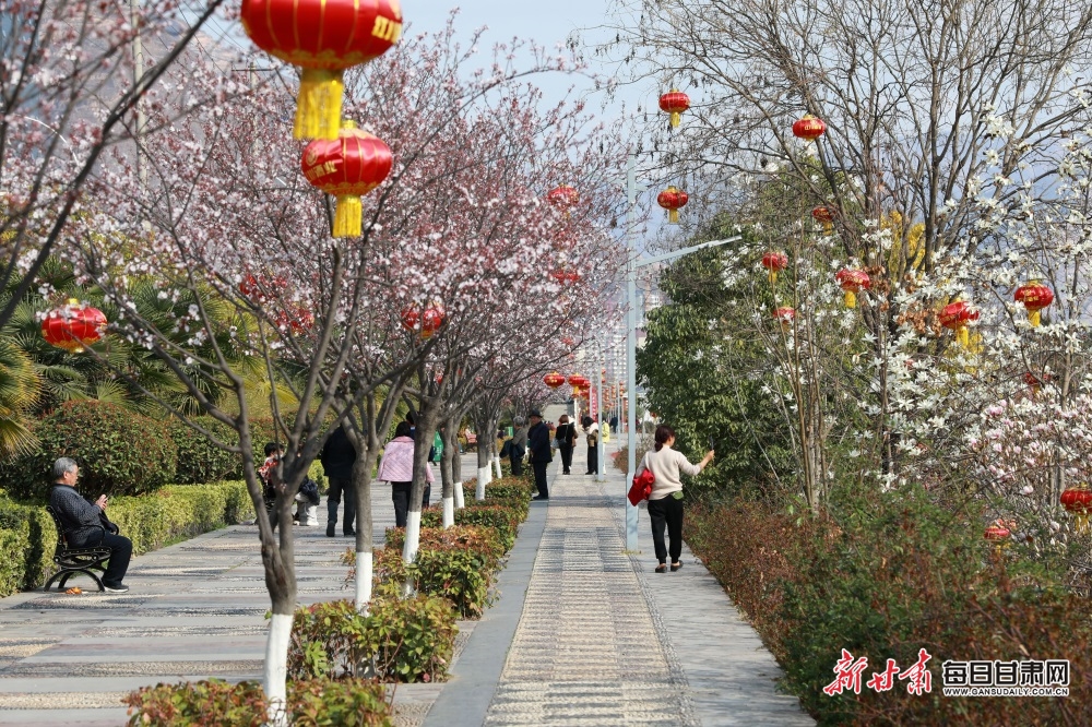 武都東江公園玉蘭盛放花影婆娑_fororder_9