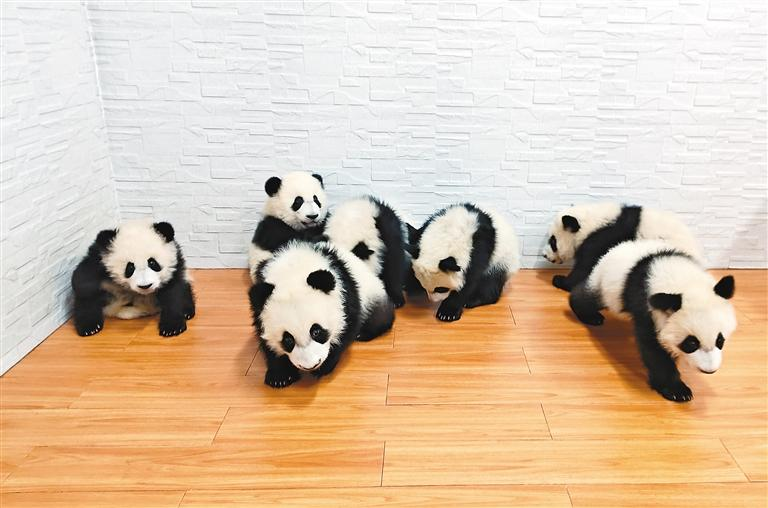 和“滚滚”一起过大年_fororder_图片4