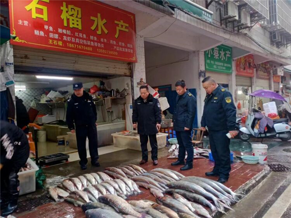 湖北:河湖警長護漁忙 魚兒戲水競相歡_fororder_03