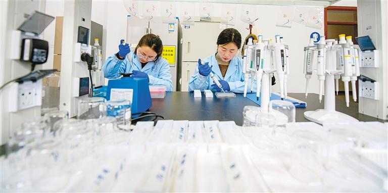 和“滚滚”一起过大年_fororder_图片3