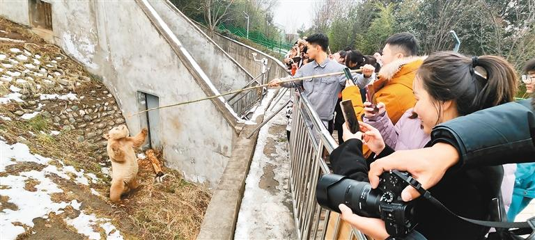 和“滚滚”一起过大年_fororder_图片2