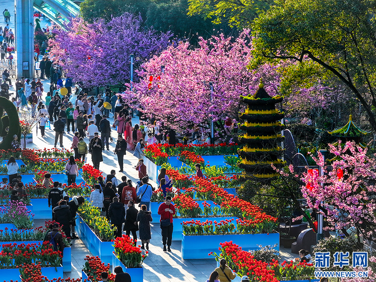 重庆主城赏花景点图片