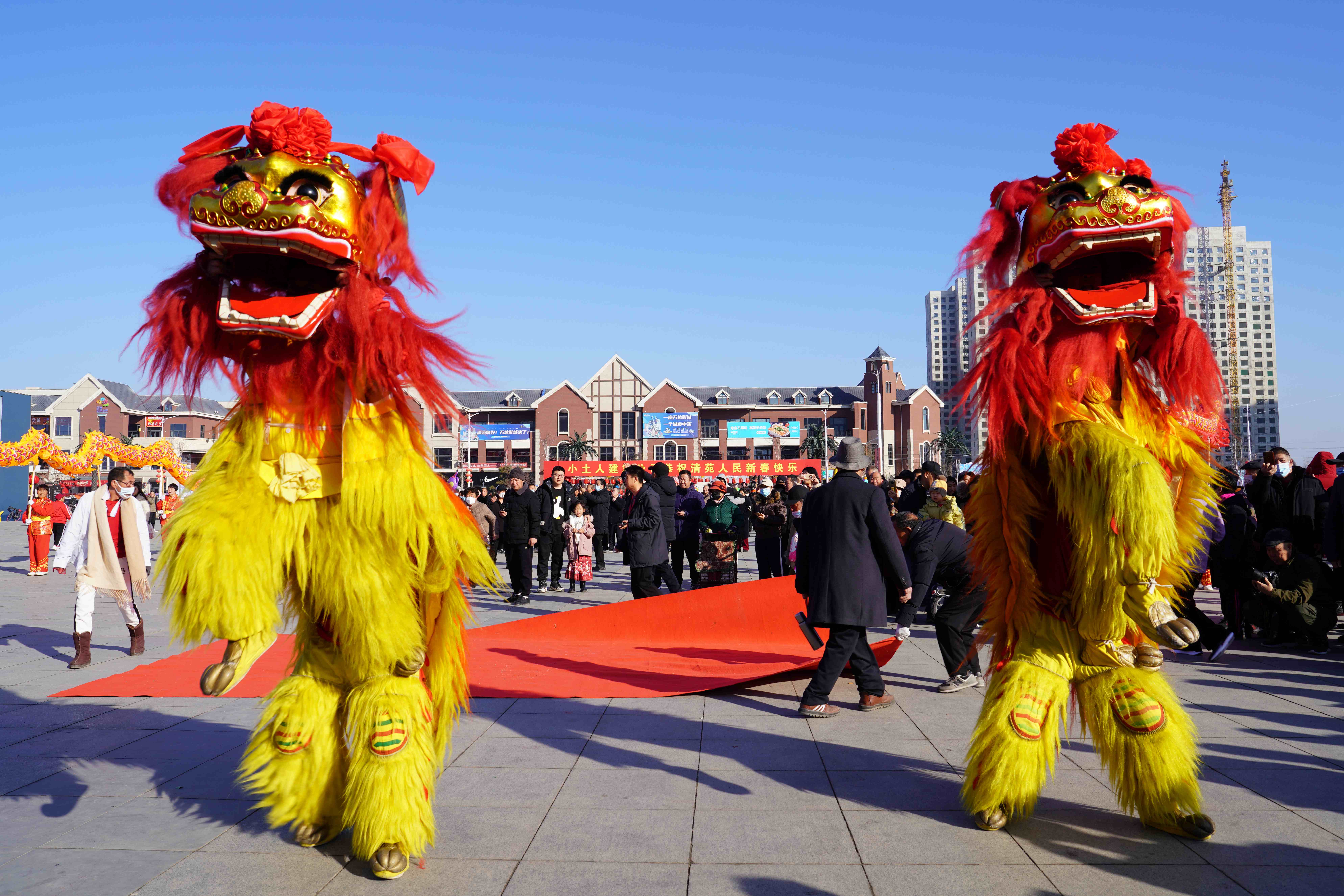 图片默认标题_fororder_民间舞狮表演。摄影 王磊