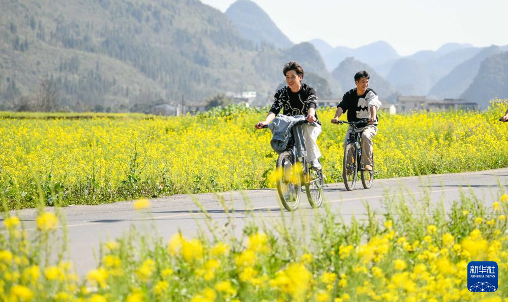 贵州、广西、云南、湖南等地油菜花开春意浓_fororder_20240217d2a5caf90fed4c039ec89e28d8ae8382_20240217d58d05dd3df044868e0204e63f9ffcd8