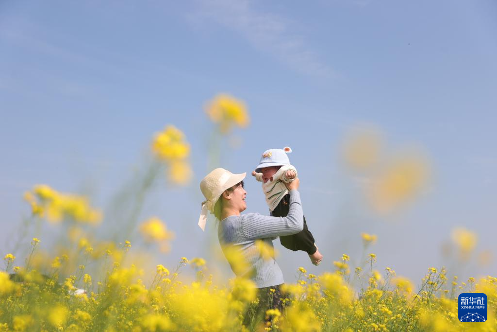 贵州、广西、云南、湖南等地油菜花开春意浓_fororder_20240217d2a5caf90fed4c039ec89e28d8ae8382_202402171b34bcc5b8ab4cf58f2711f4d07b4f75