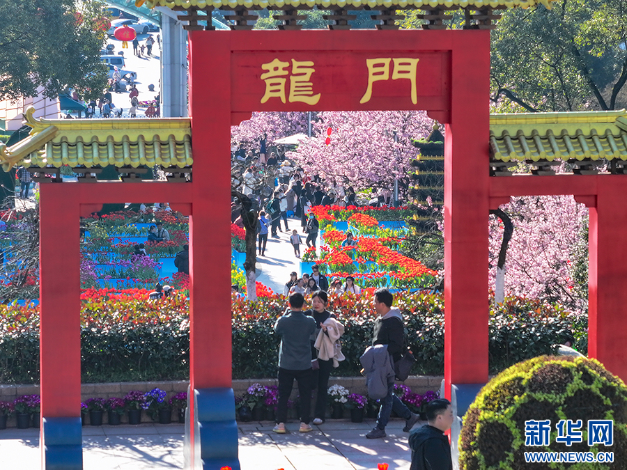 重庆南山：赏花正当时