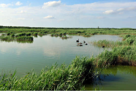 河湖长制成长制 人水和谐谱新篇——沧州渤海新区黄骅市南大港产业园区推进水生态文明建设_fororder_碧波映美景 人水共和谐（2.20）812