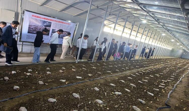 【原創】武威天祝:強化信用建設 助力食用菌産業規範發展_fororder_圖片1