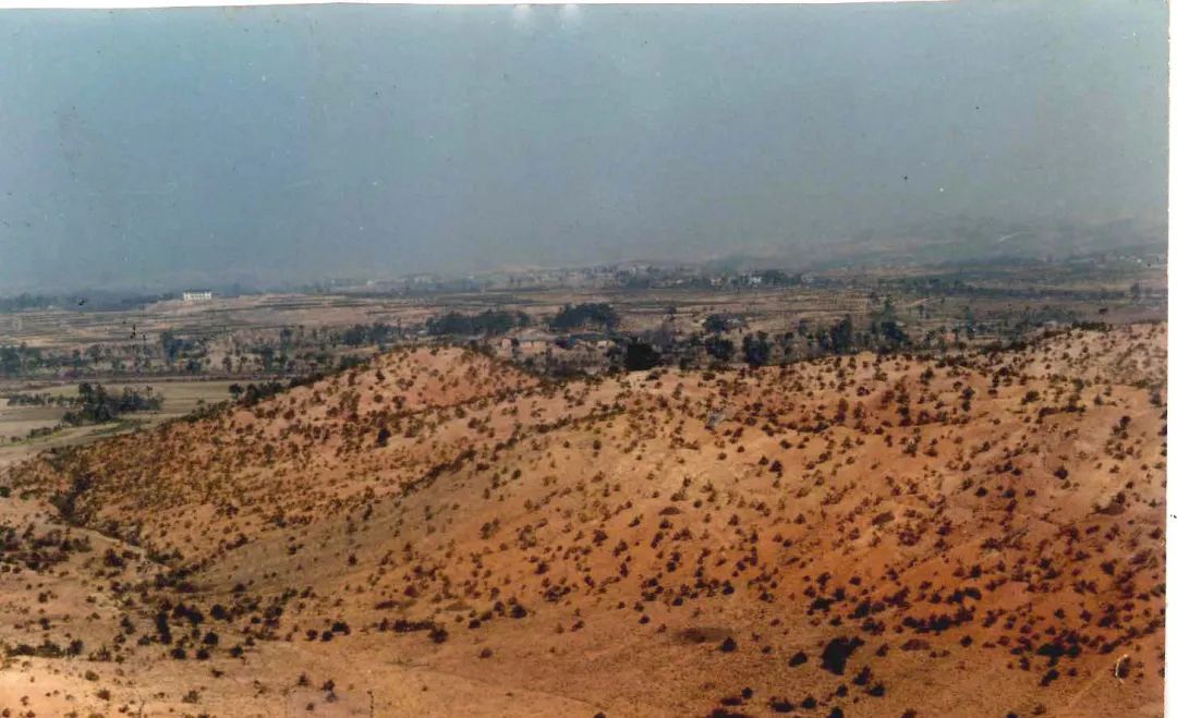 新春走基层｜唱响不负绿水青山的“长汀之歌”