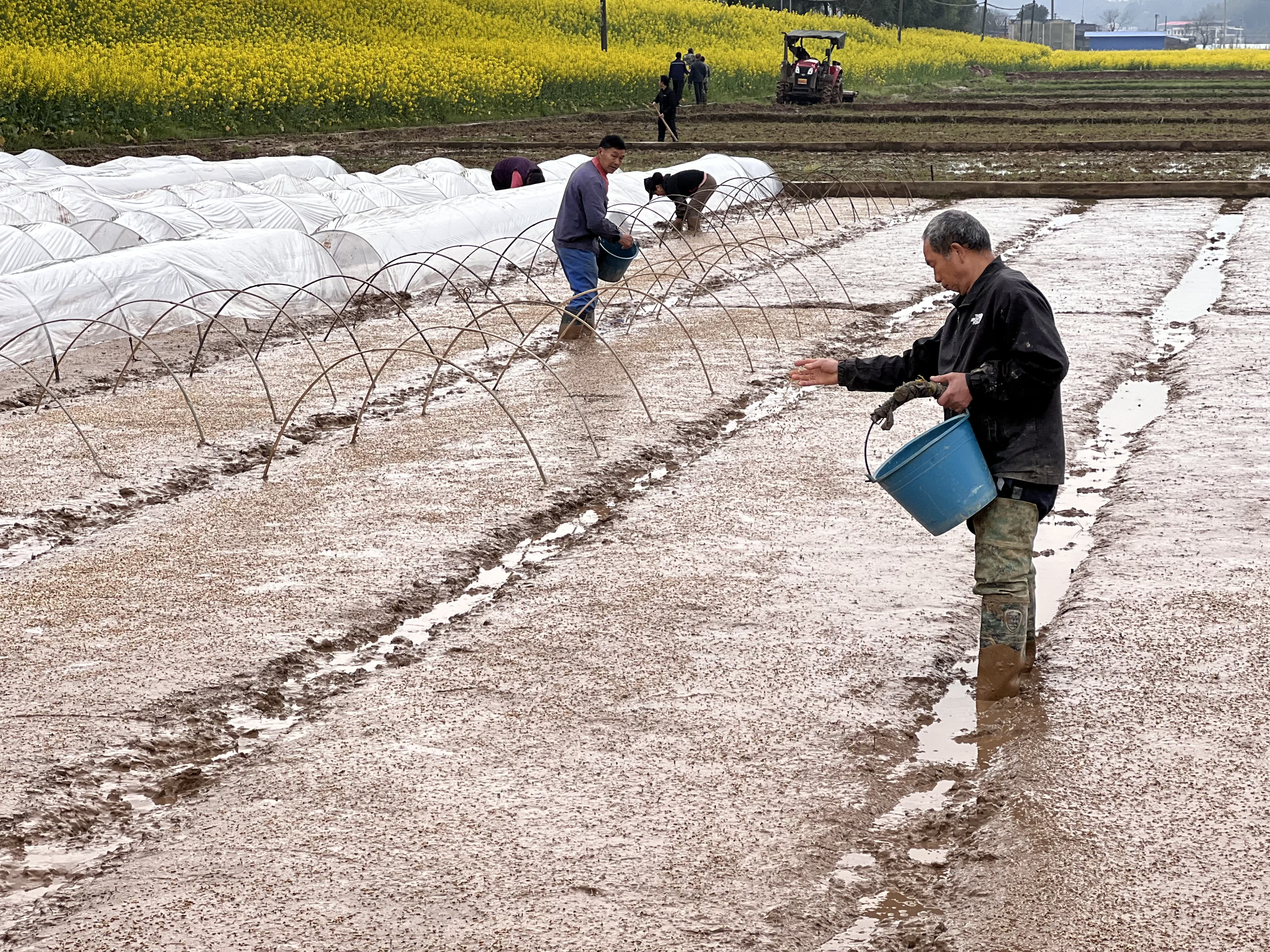 湖南衡南：春分时节春耕备耕忙_fororder_图片2
