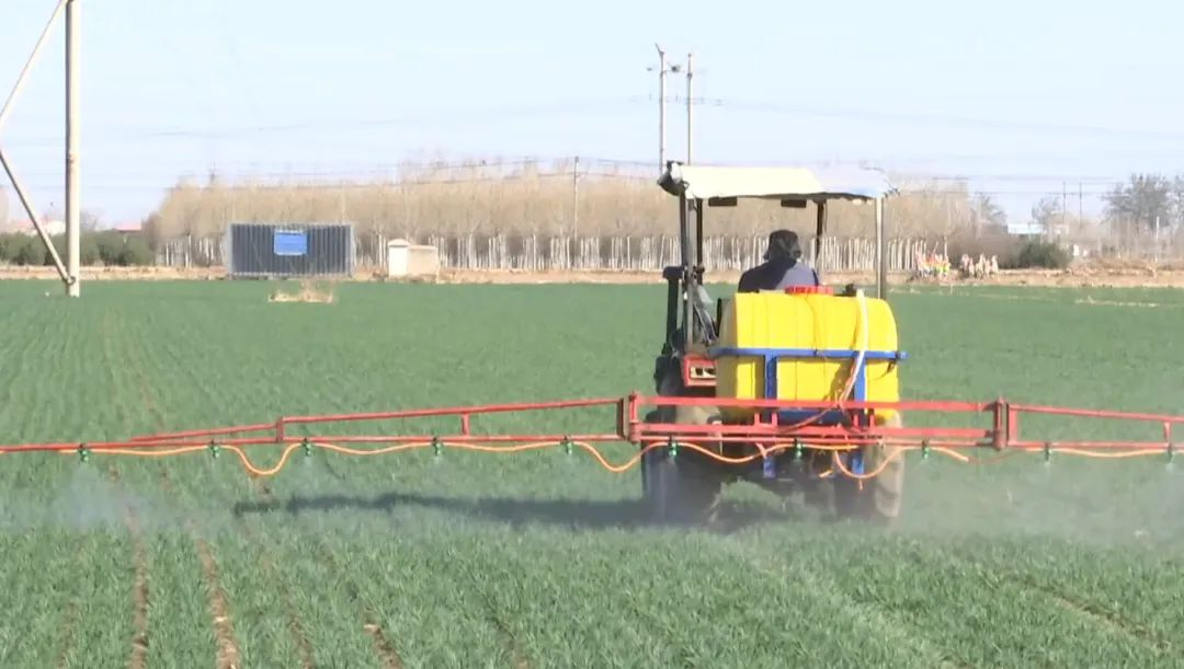 石家庄市鹿泉区： 春来农事忙 机械化助力小麦春管_fororder_图片 4