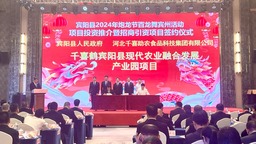 南宁市宾阳县12个项目集中签约 总投资达133.5亿元