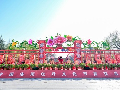 Annual Peony Culture Festival Kicks off in Luoyang, Run until May 5