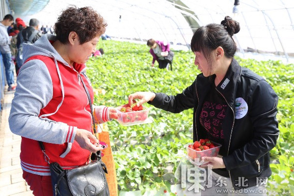 “我在龙江有亩田”首场体验之旅实现“开门红”