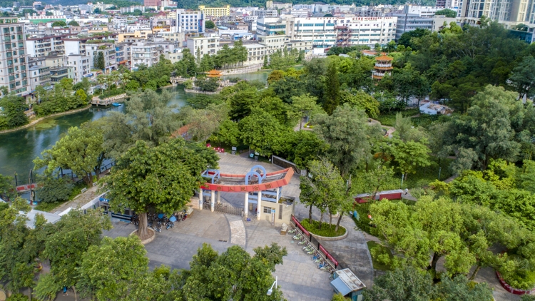 24座67公园逾30万平方米深圳横岗街道彰显宜居城区活力与优美生态
