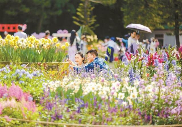 公園深圳人氣旺 大好春光美出圈_fororder_3