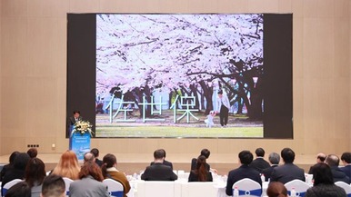 “你好，瀋陽”國際友城市長交流日（瀋陽-佐世保）暨佐世保港郵輪旅遊推介會舉辦