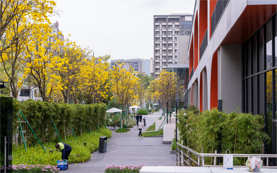 广州天河：城市管理聚焦民生福祉 助力建设宜居韧性智慧城市_fororder_天河区南兴社区容貌品质提升