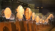 殷墟博物館新館正式開放 4000件（套）文物集中亮相