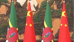 多米尼克财政部长: 我们坚定支持一个中国原则