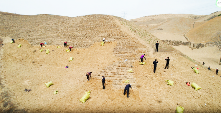 榆林市横山区：中药材成为乡村振兴的“金钥匙”_fororder_图片1