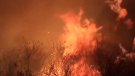 墨西哥全國116處林火燃燒 造成至少4人死亡