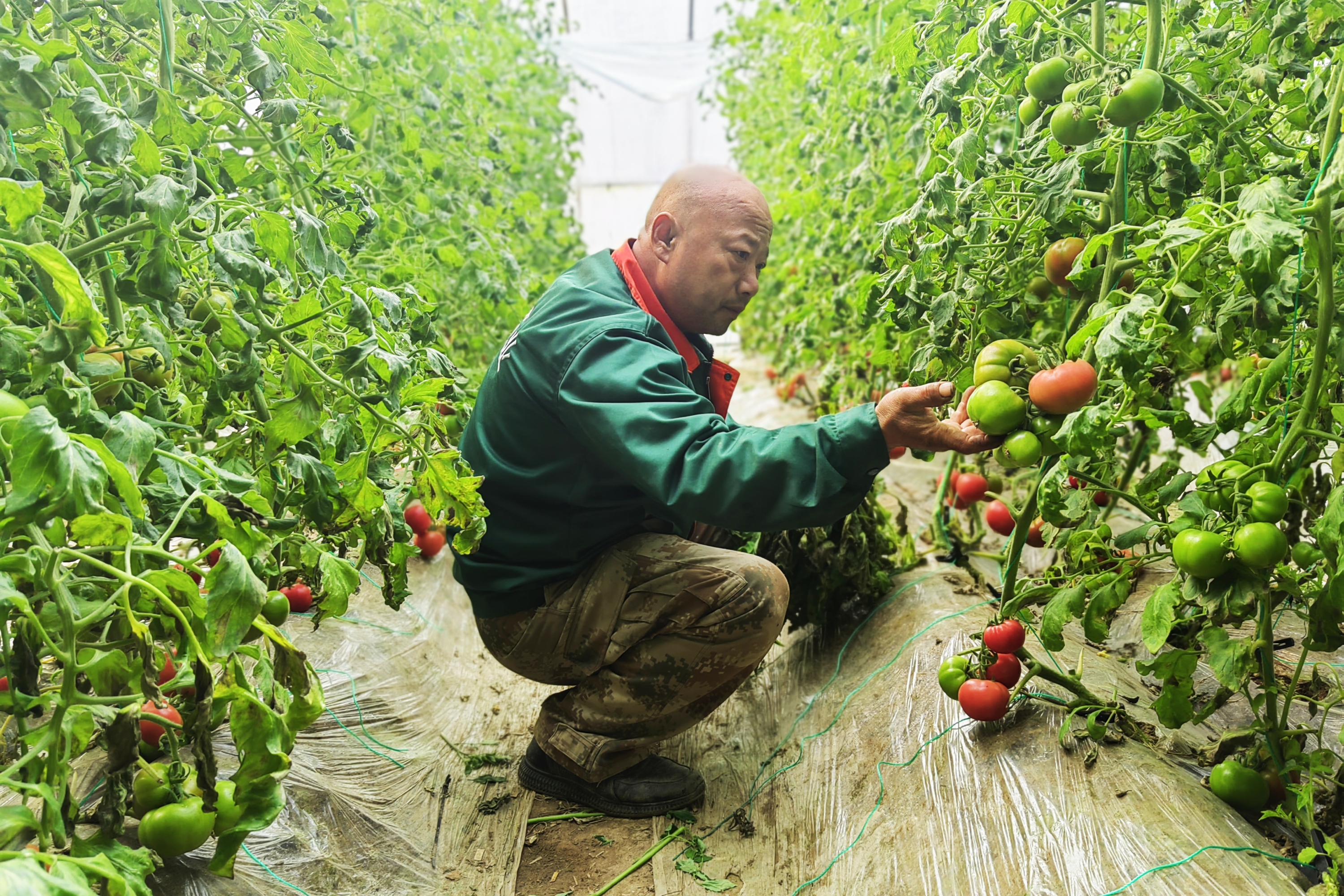 图片默认标题_fororder_005