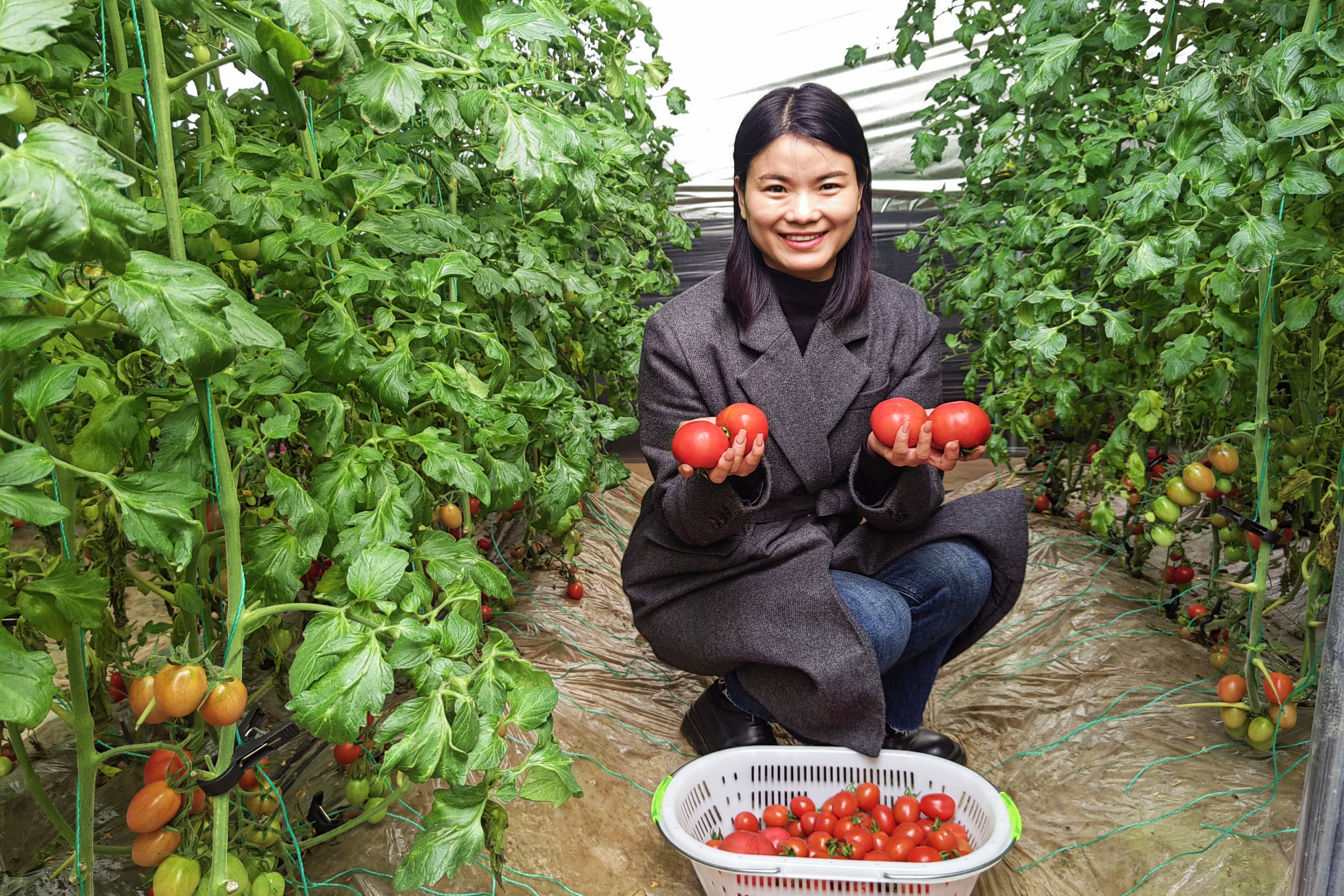 图片默认标题_fororder_004