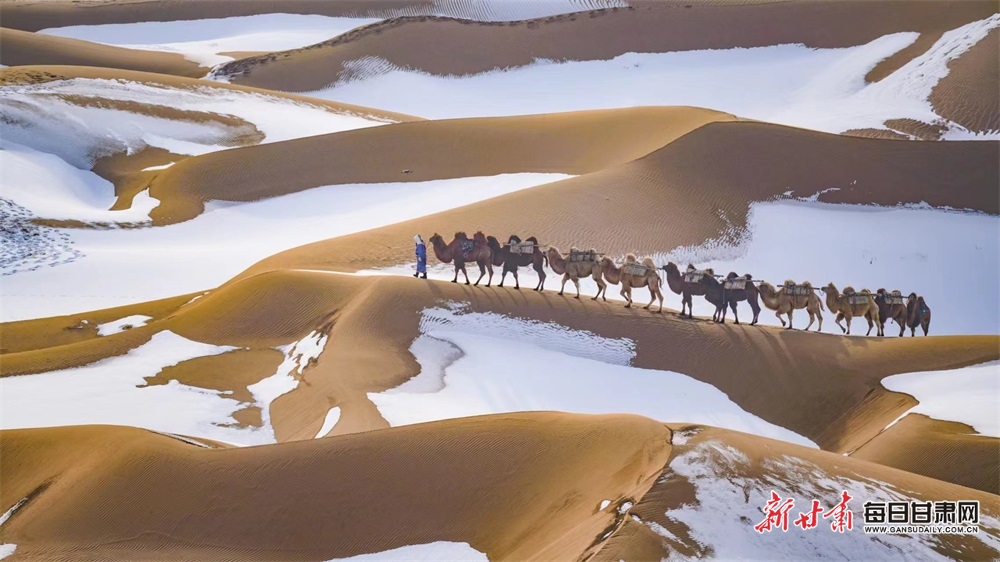 【大美甘肃】雪落巴丹吉林沙漠好看得不一般_fororder_2