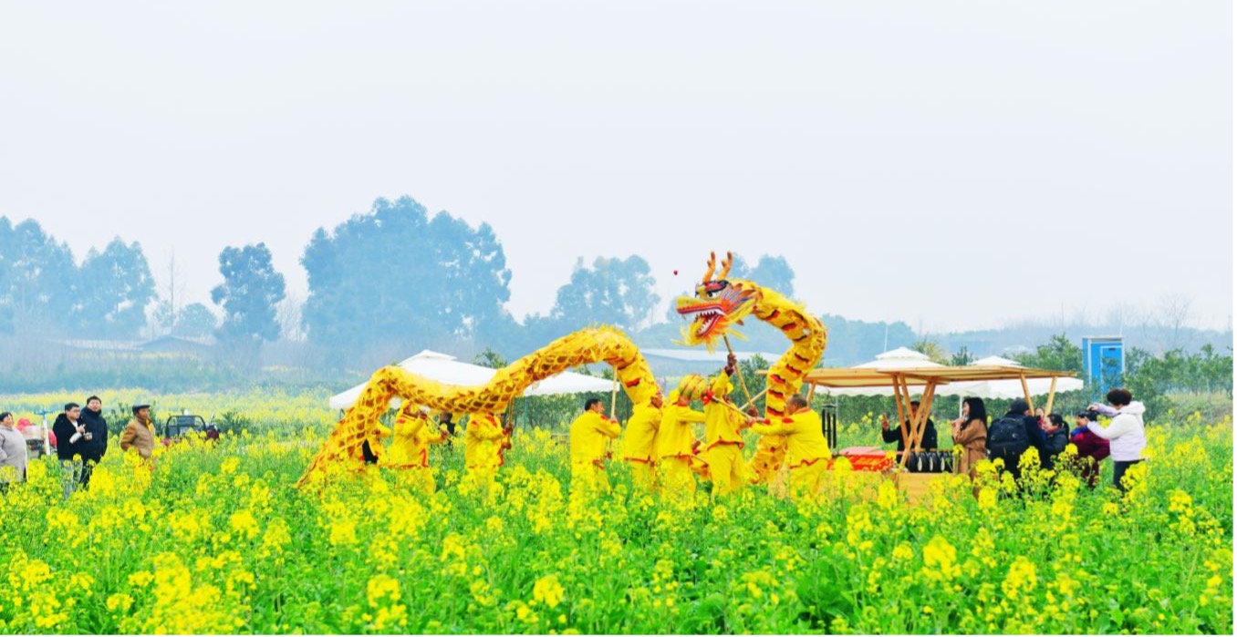 成都金堂县第十四届油菜花节启幕_fororder_图片 1