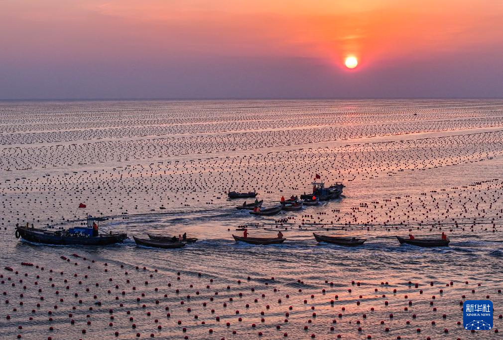 山東榮成：海上“春耕”全面開展