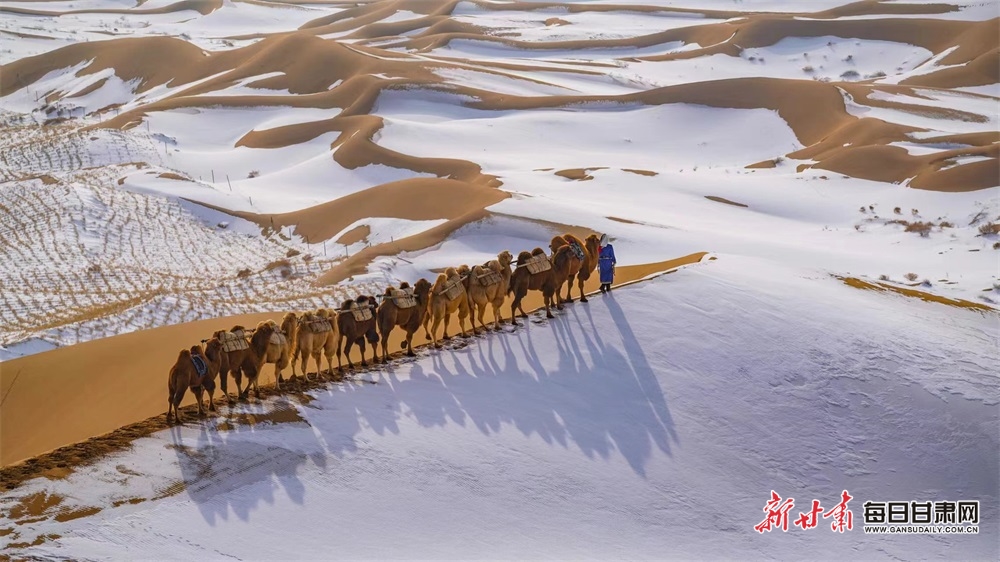 【大美甘肃】雪落巴丹吉林沙漠好看得不一般_fororder_8