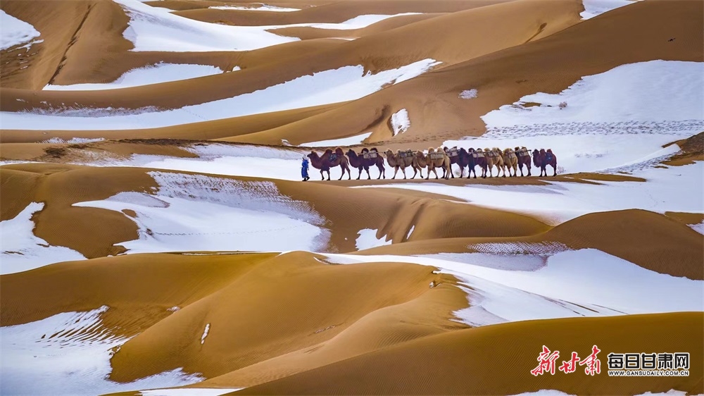 【大美甘肃】雪落巴丹吉林沙漠好看得不一般_fororder_6